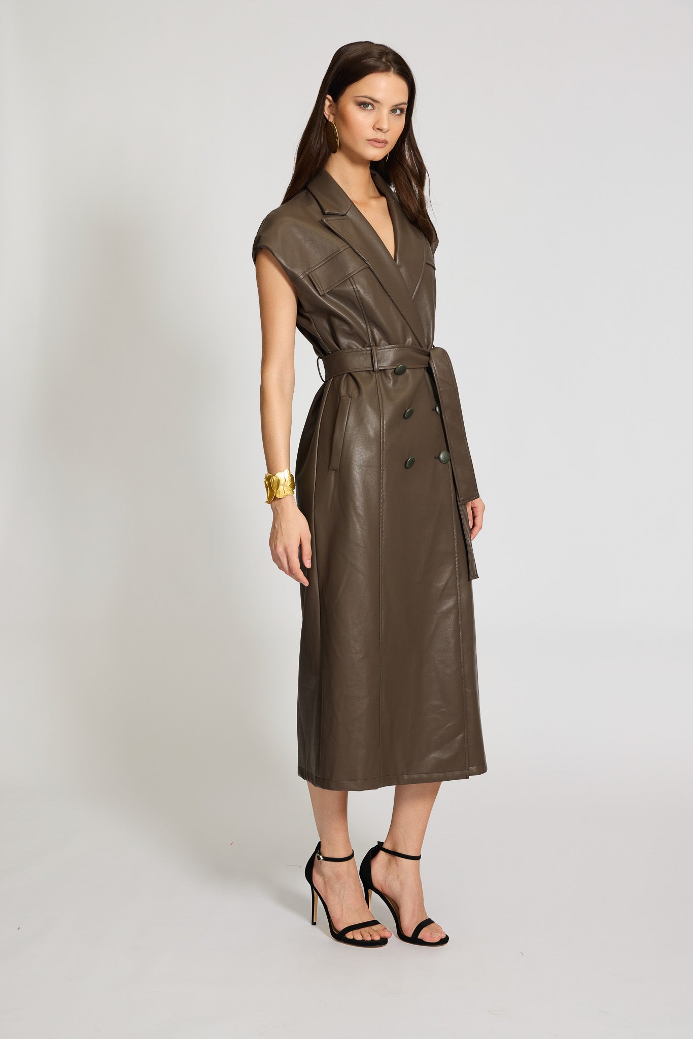 Anabelle Trench Dress