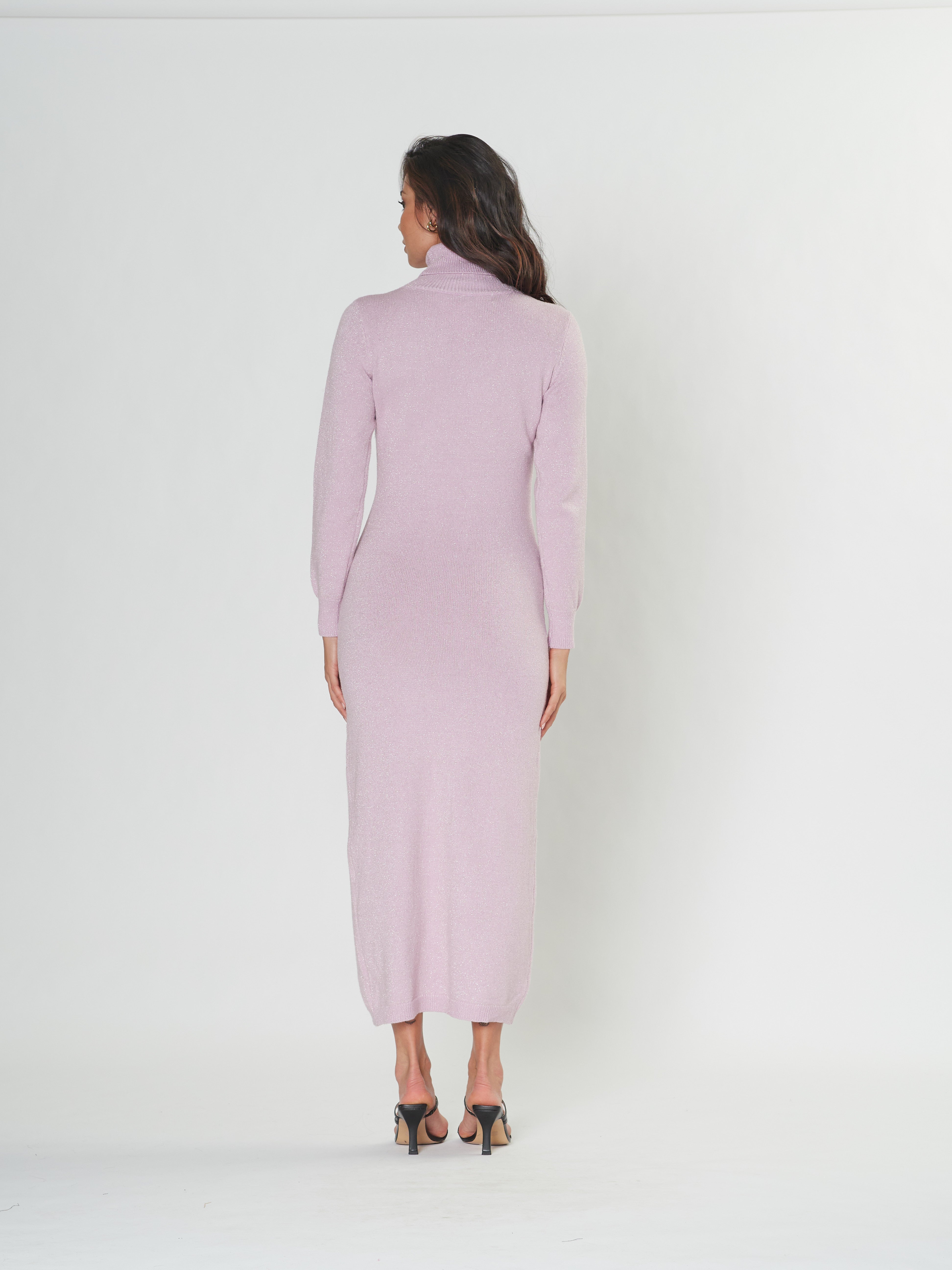 Raise Up Turtle Neck Dress