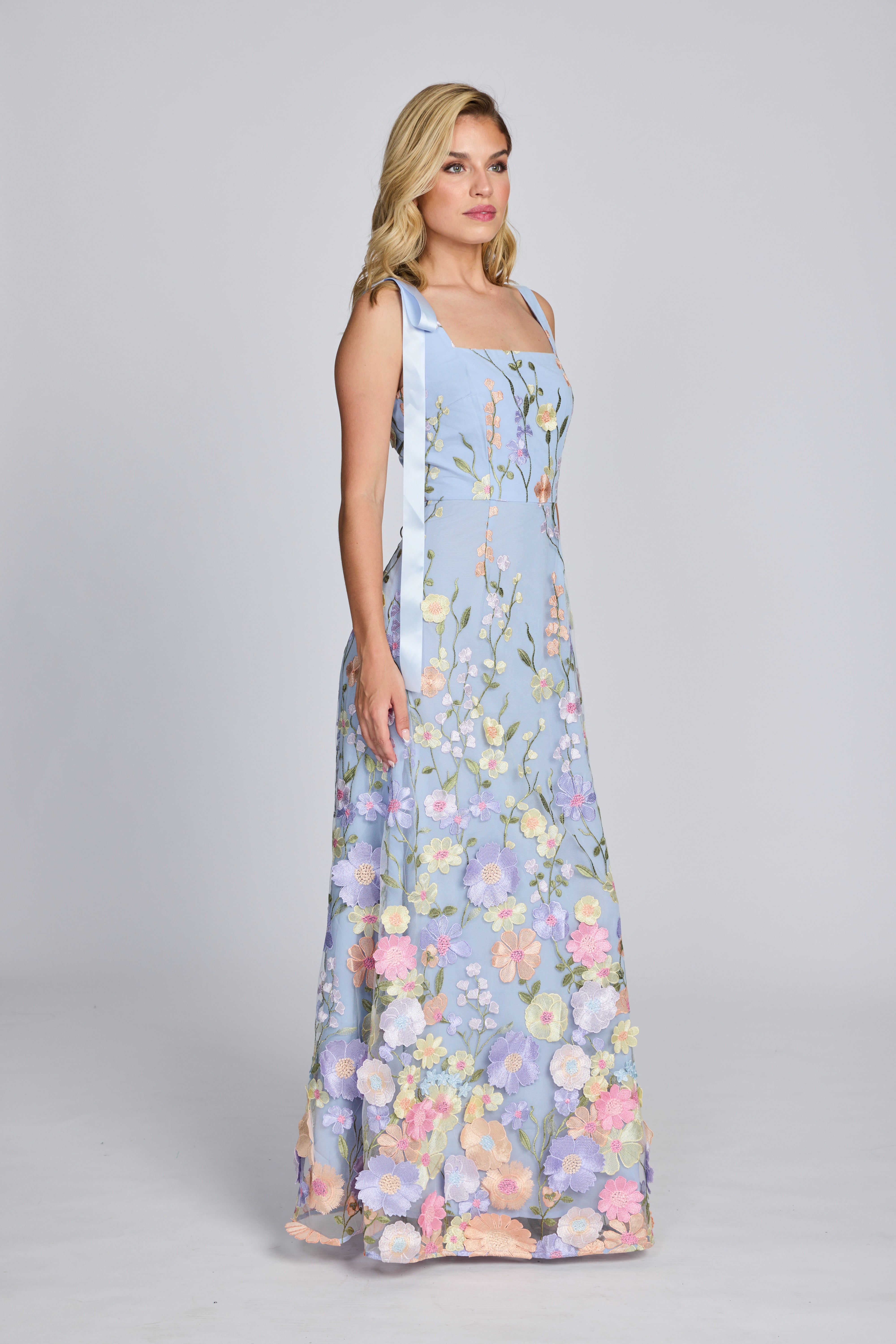 Blake Ribbon Maxi Dress