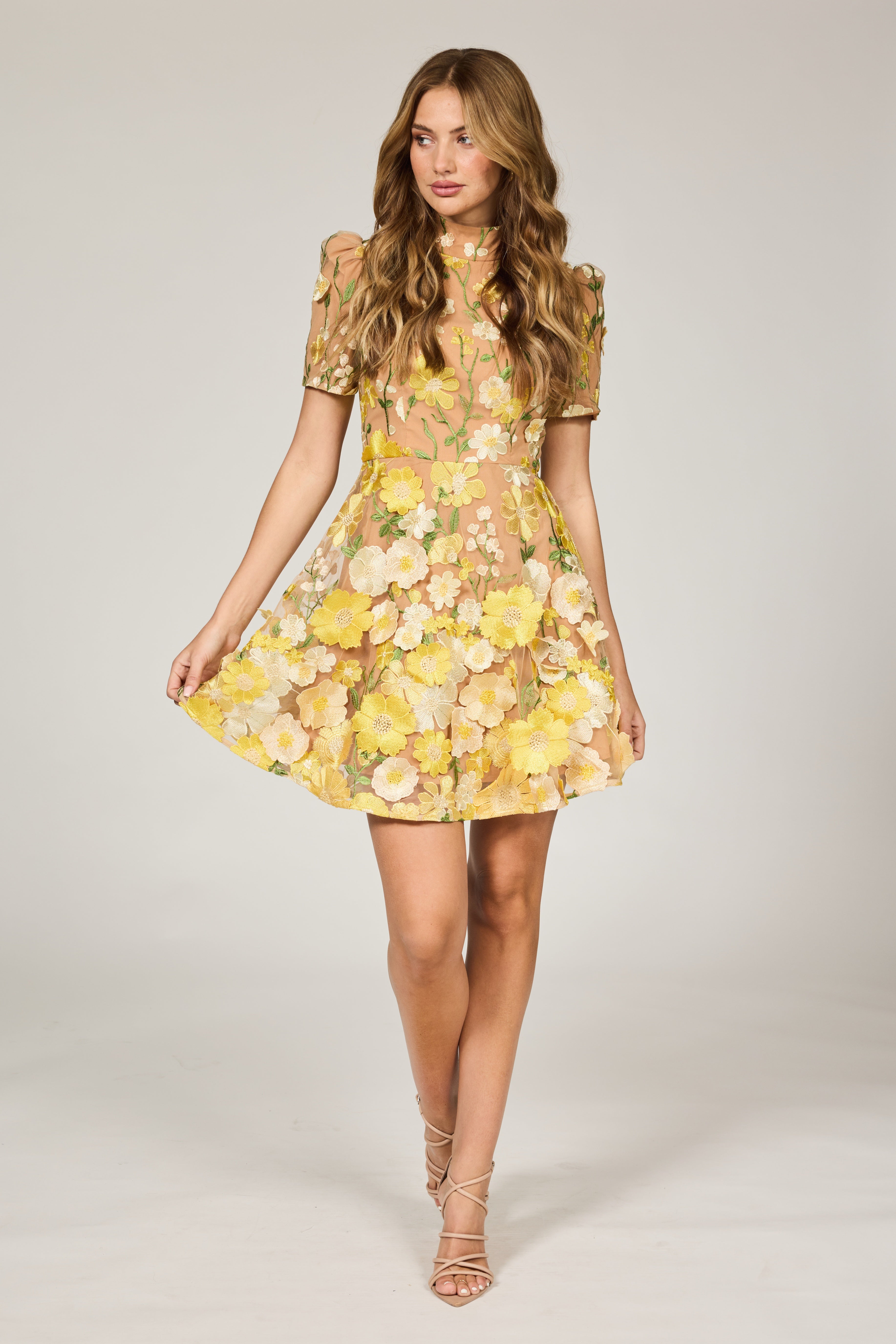 Enchanted Garden Aline Dress