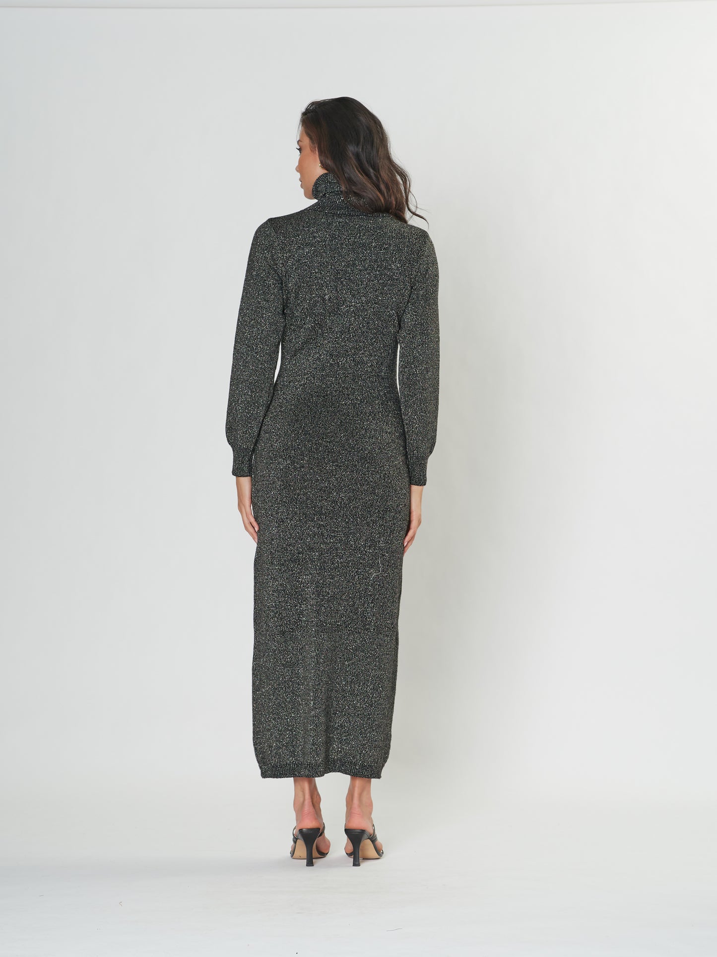 Raise Up Turtle Neck Dress