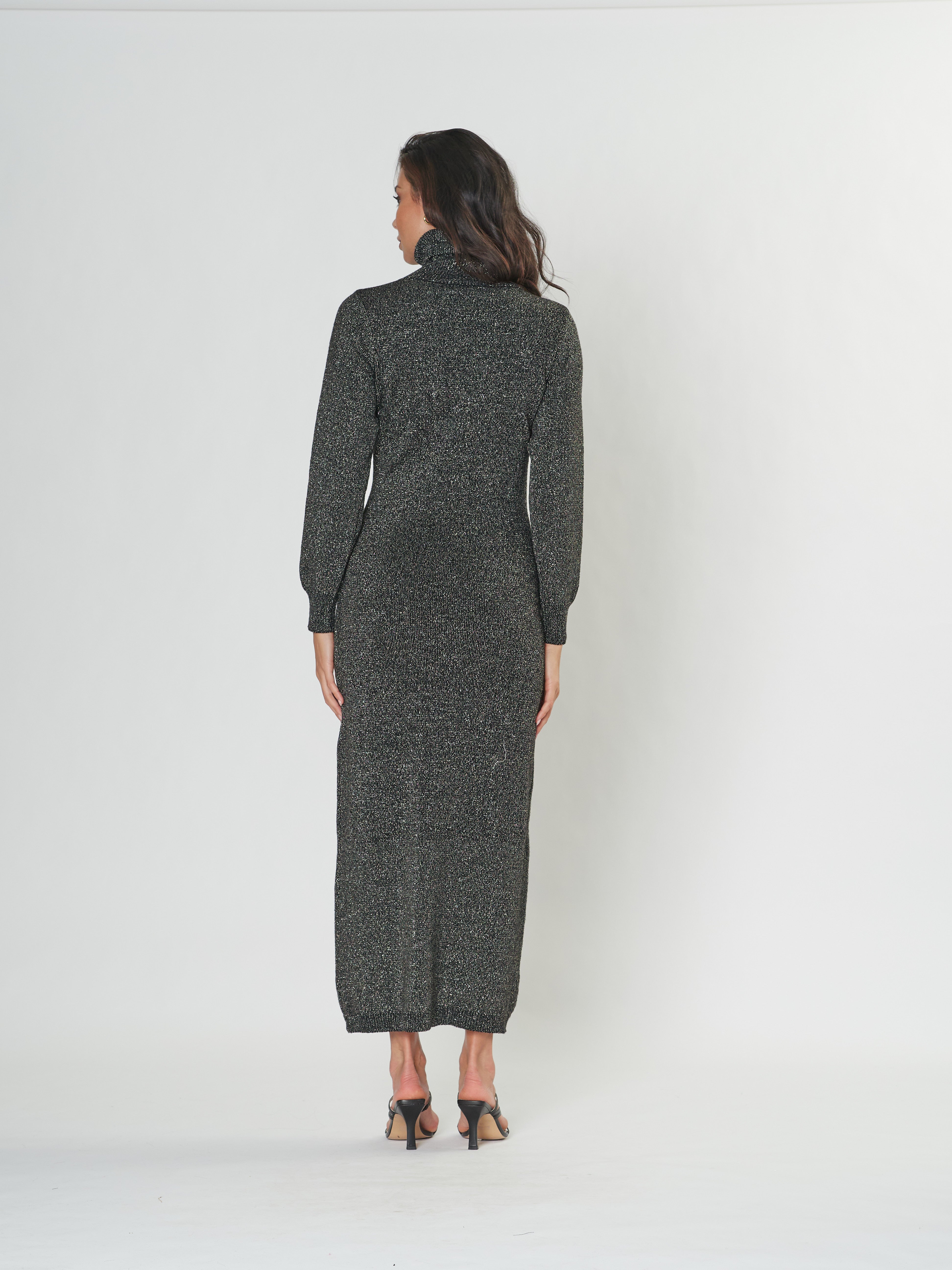 Raise Up Turtle Neck Dress