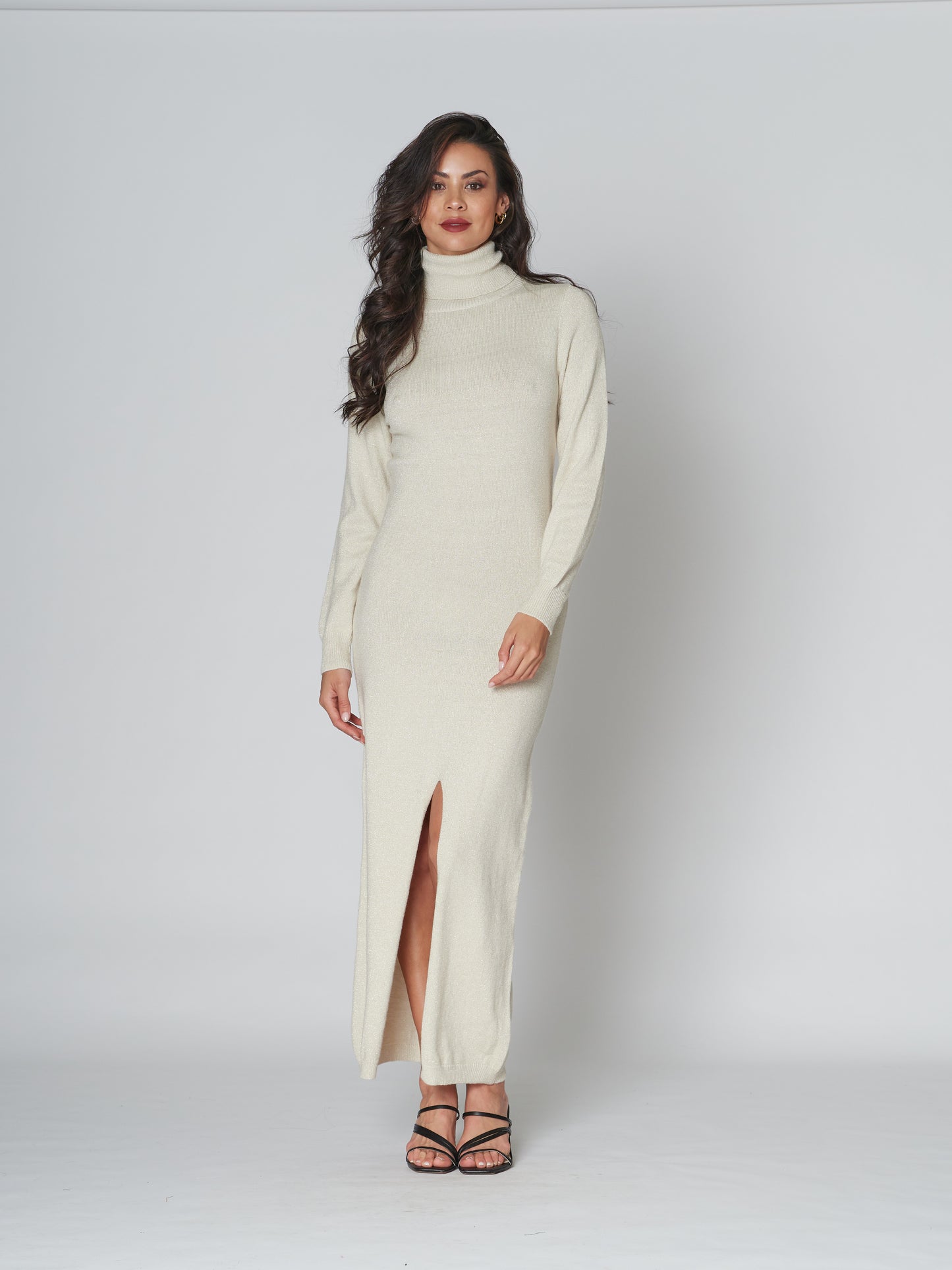 Raise Up Turtle Neck Dress