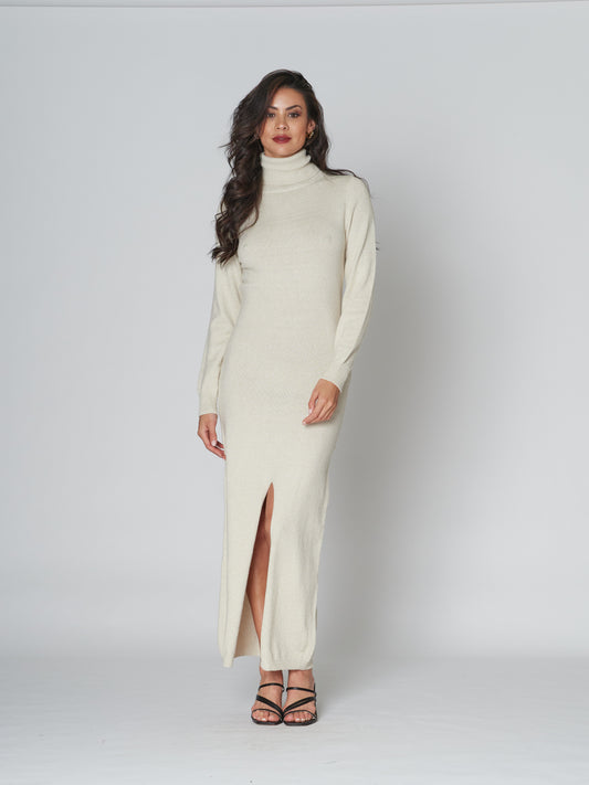 Raise Up Turtle Neck Dress