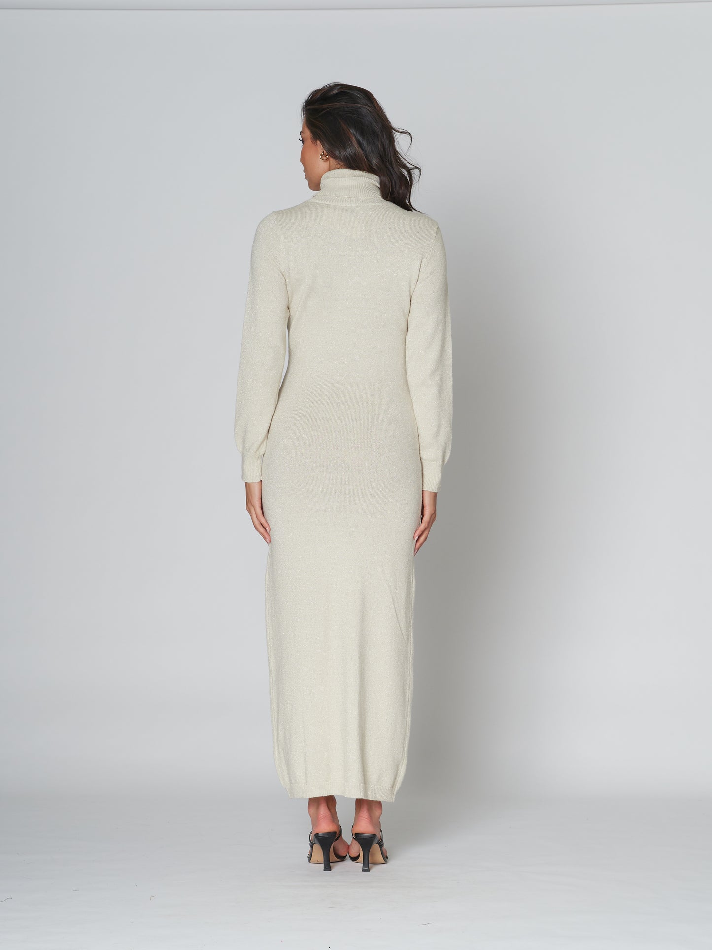 Raise Up Turtle Neck Dress